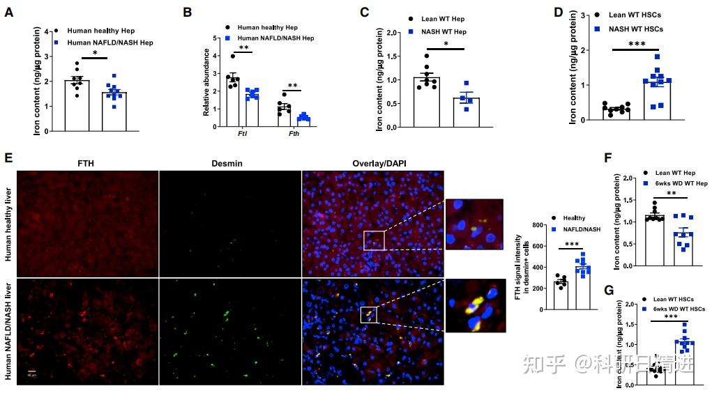 Cell Metabolism丨微量元素与代谢性疾病的研究到底应该怎么做?这篇最新发表的CM文章你不能错过 ! - 知乎