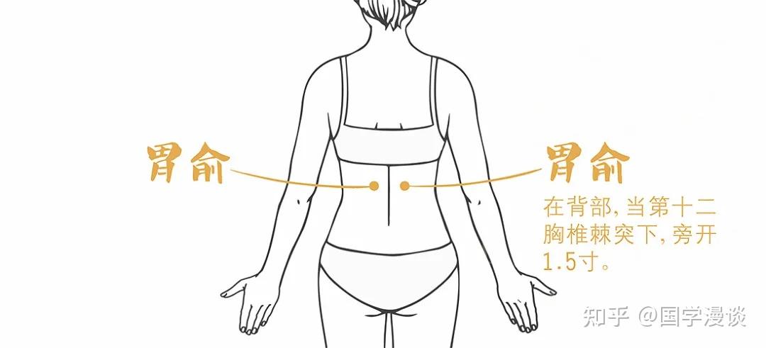 中西医相互对照着来看脾虚的根本原因是什么? - 知乎