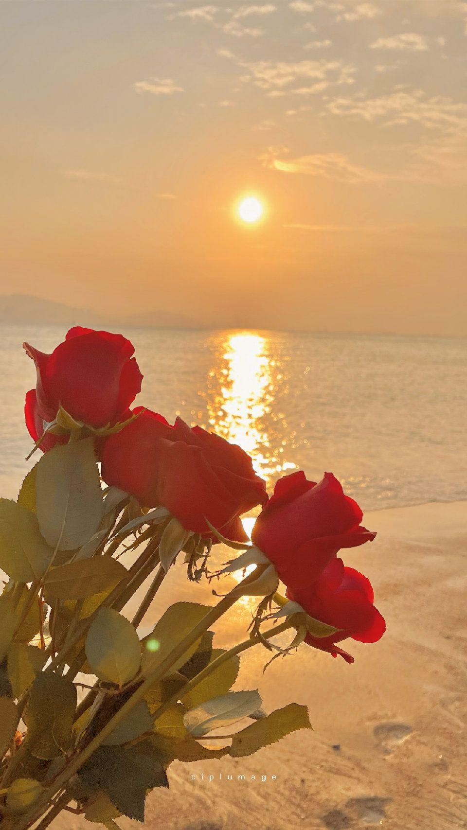 有哪些好看的微信聊天背景图? - 知乎