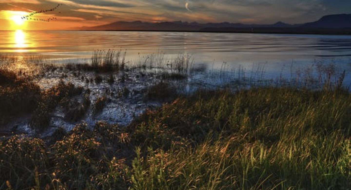 狠角色，有手段的星座，活得通透圆滑，但自始至终会保持底线- 知乎