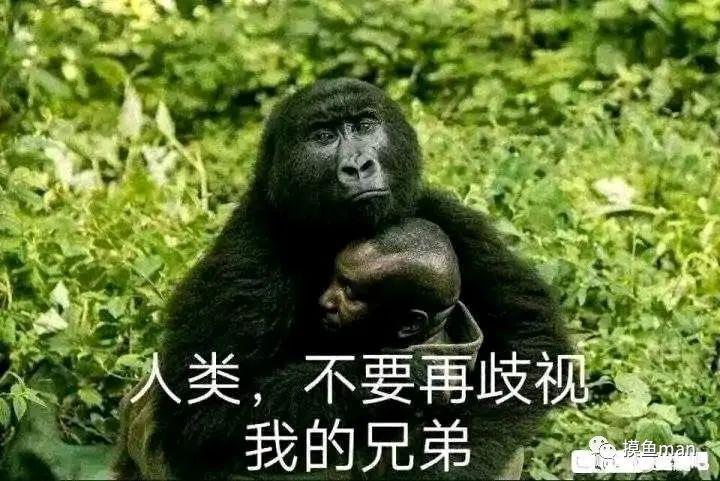 可以分享一下地狱笑话吗?