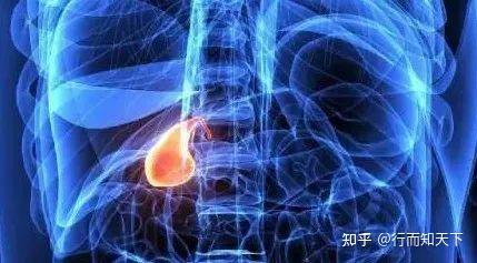 胆汁中的利胆成分——胆盐 - 知乎