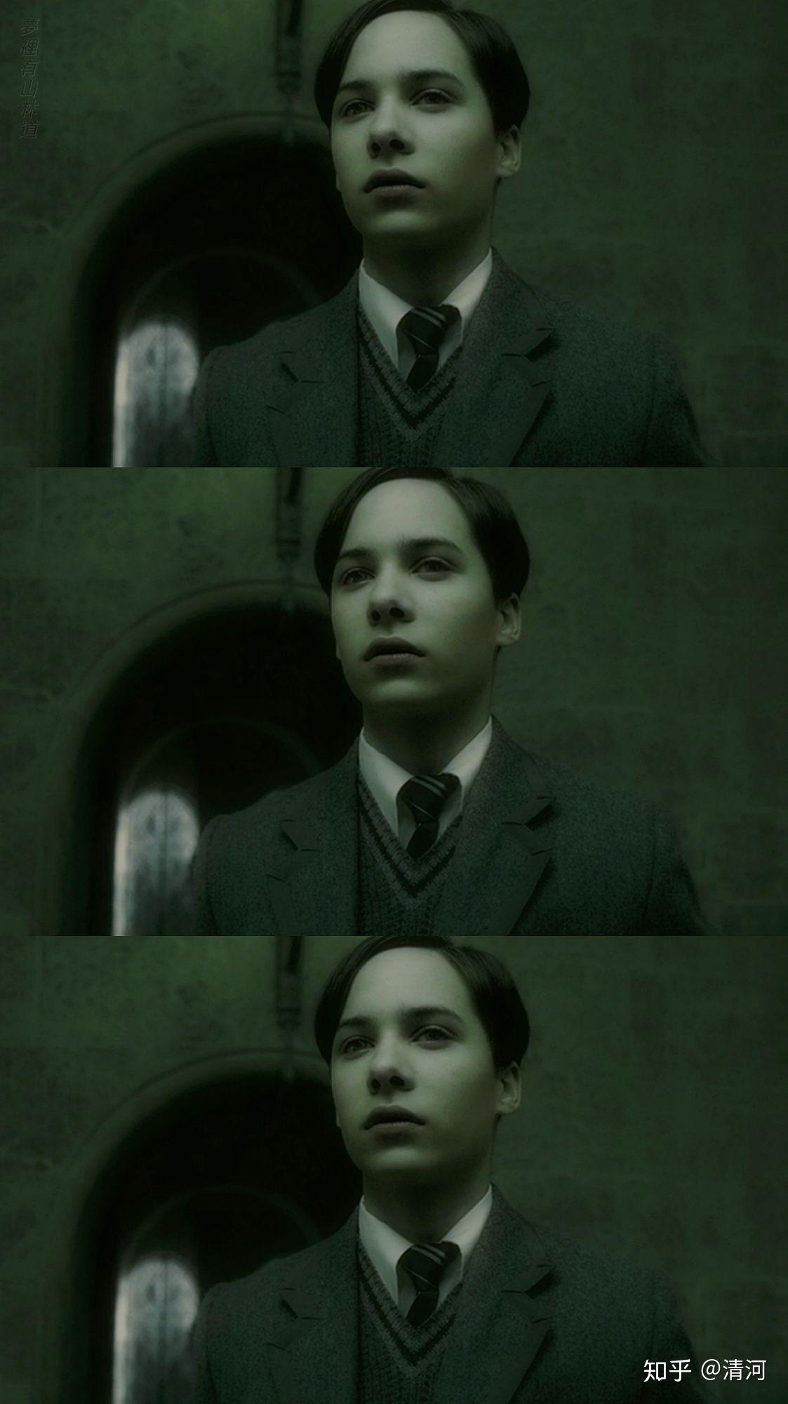 家里养了一只汤姆里德尔是什么感觉