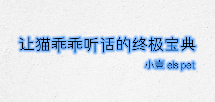 让猫乖乖听话的终极宝典 铲屎官必看 - 知乎
