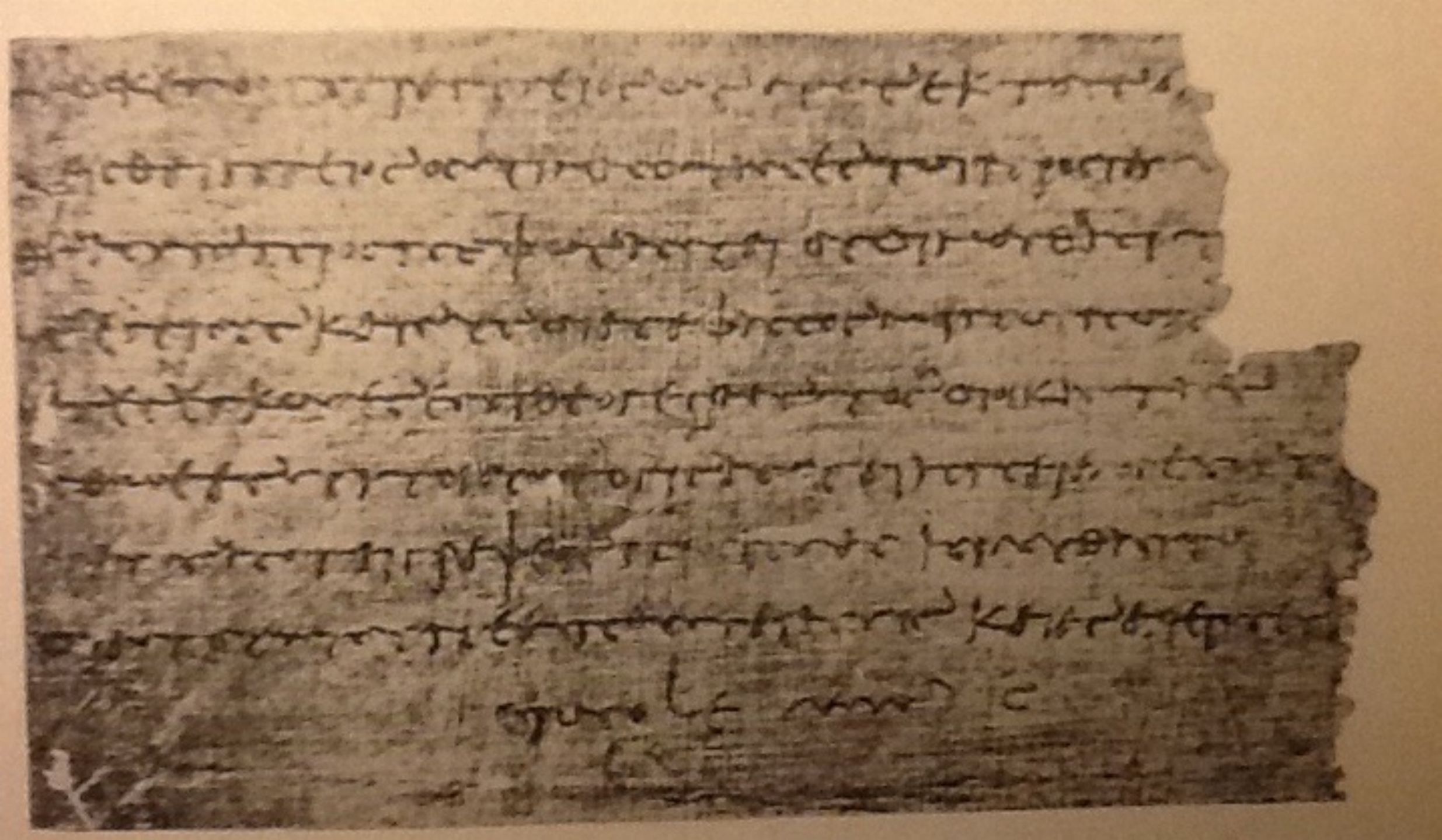 古埃及的莎草纸