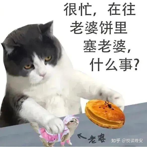 有什么好用的meme梗图和表情包搜索引擎或网站? - 知乎