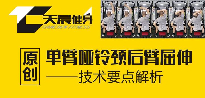 原创单臂哑铃颈后臂屈伸技术动作解析