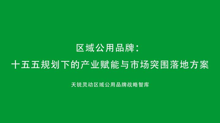 区域公用品牌打造：十五五规划下的区域公用品牌打造之道
