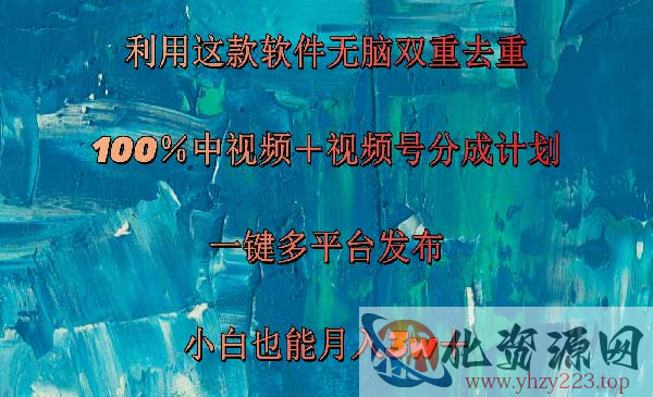 无脑双重去重软件_wwz