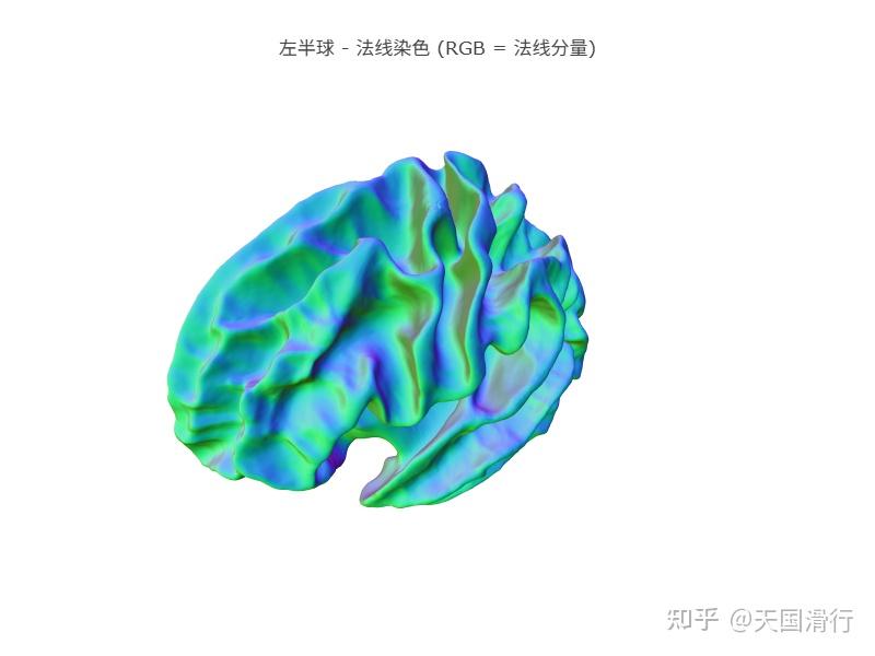大脑皮层:褶皱的沟回结构 - 知乎