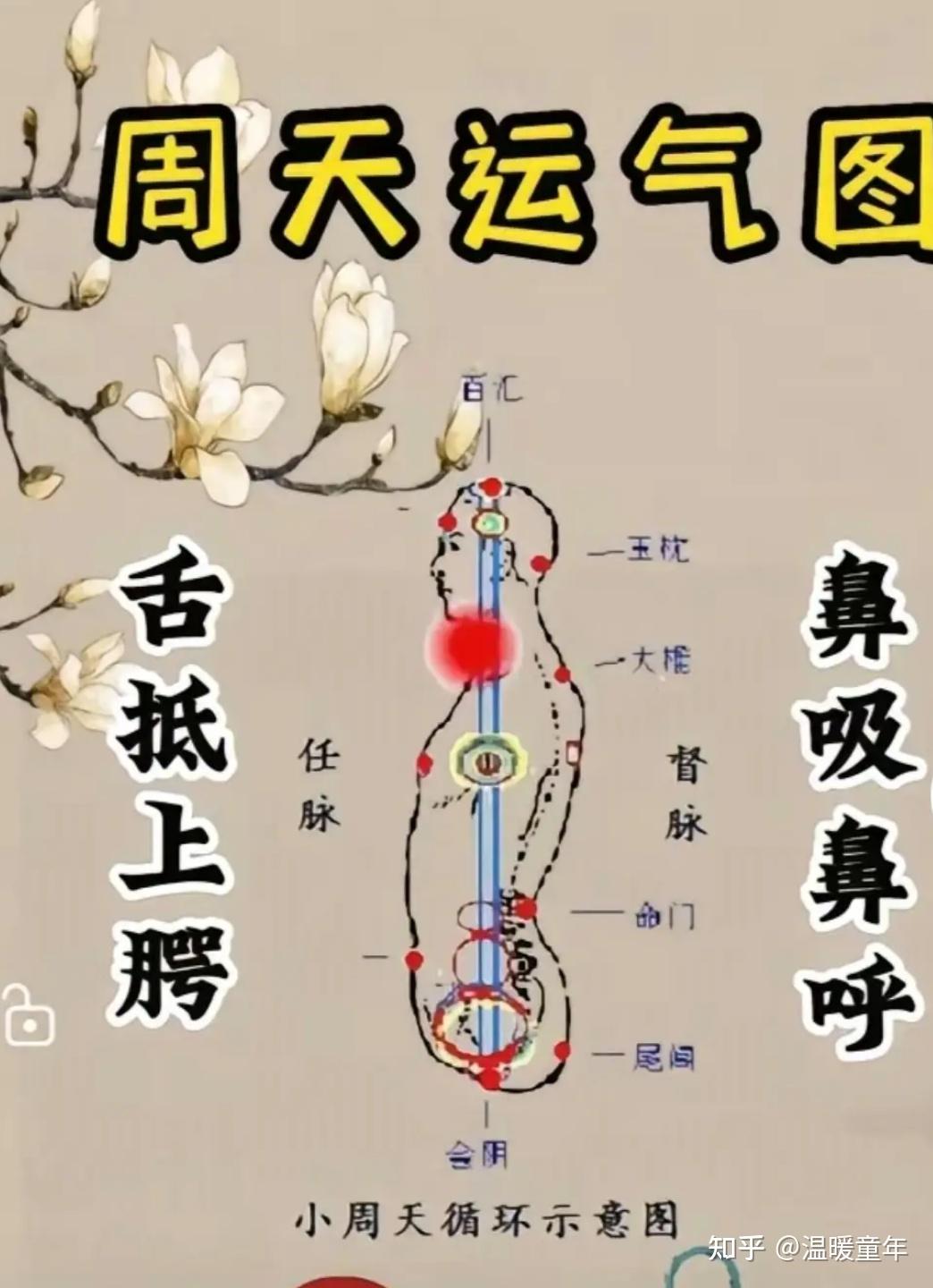 吐纳打通小周天 - 知乎