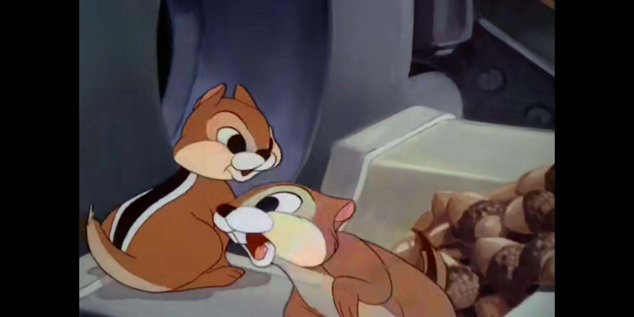 求一部动画片 主角是一只松鼠? - 知乎