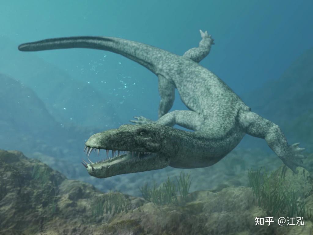 幻龙是什么东西？ - 知乎