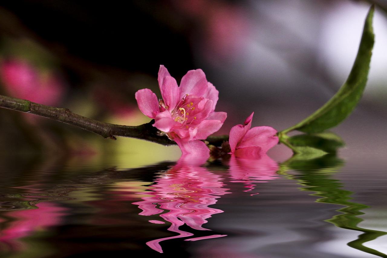 2. 一亩田地价格