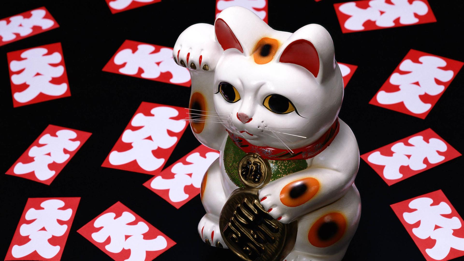 谁有招财猫的壁纸呀,各种找就是没找到～? - 知乎