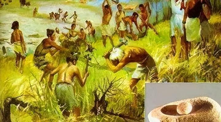 人类为何进化成杂食动物?250万年前的天灾揭开谜团 - 知乎