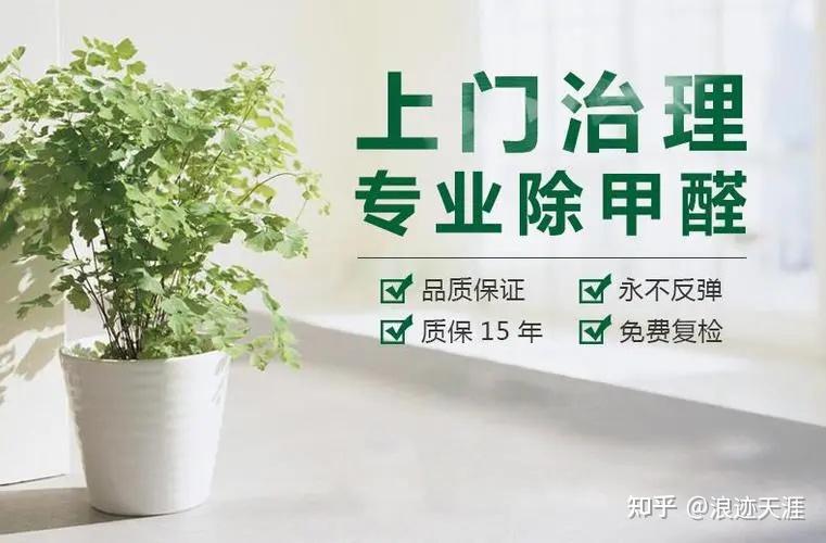 甲醛治理公司真的可以治理甲醛吗？ - 知乎