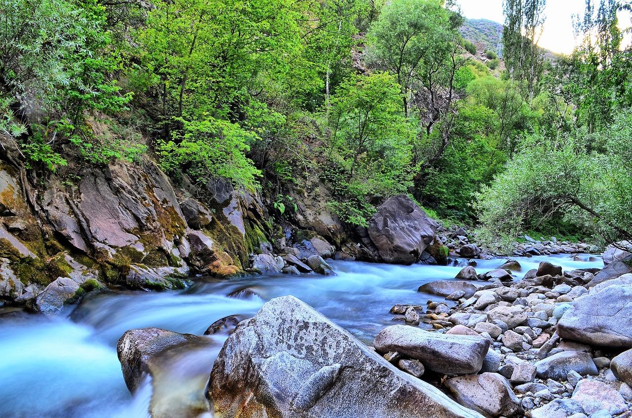 兴化江左岸价格查询
