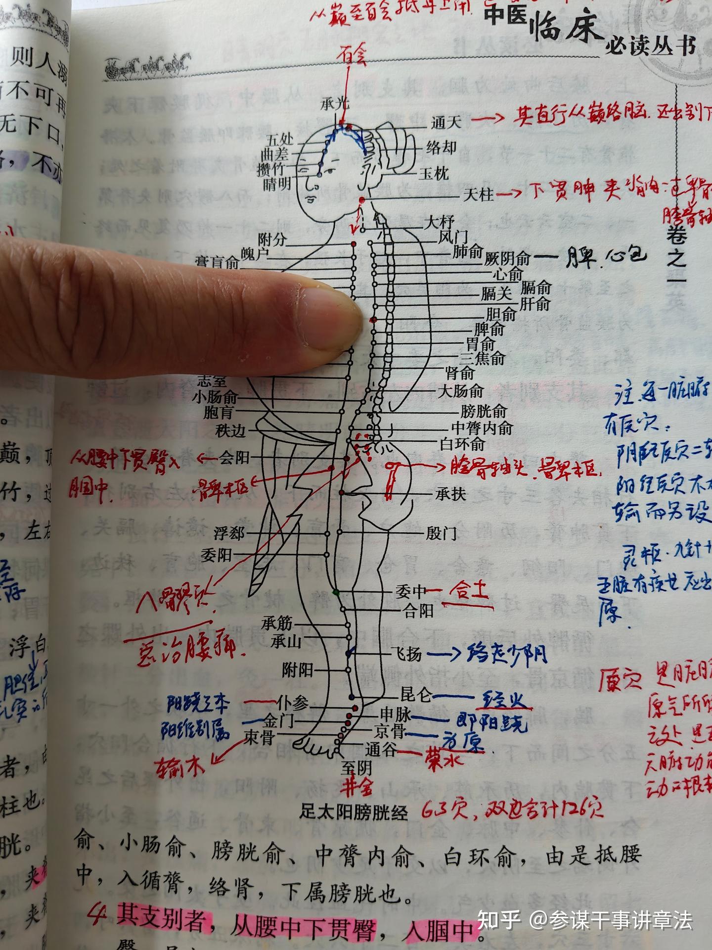 高参谋研判:胃俞穴主治霍乱,多食羸瘦,目不明,脊痛筋挛等症的解析 - 知乎