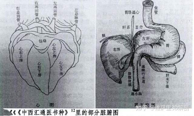 带你解锁中国古代的人体解剖图 - 知乎