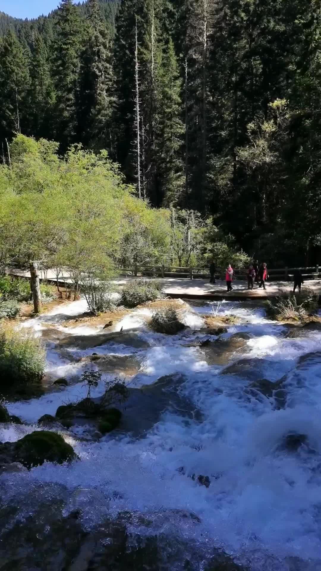 四川黄龙景区和牟尼沟哪个值得去?