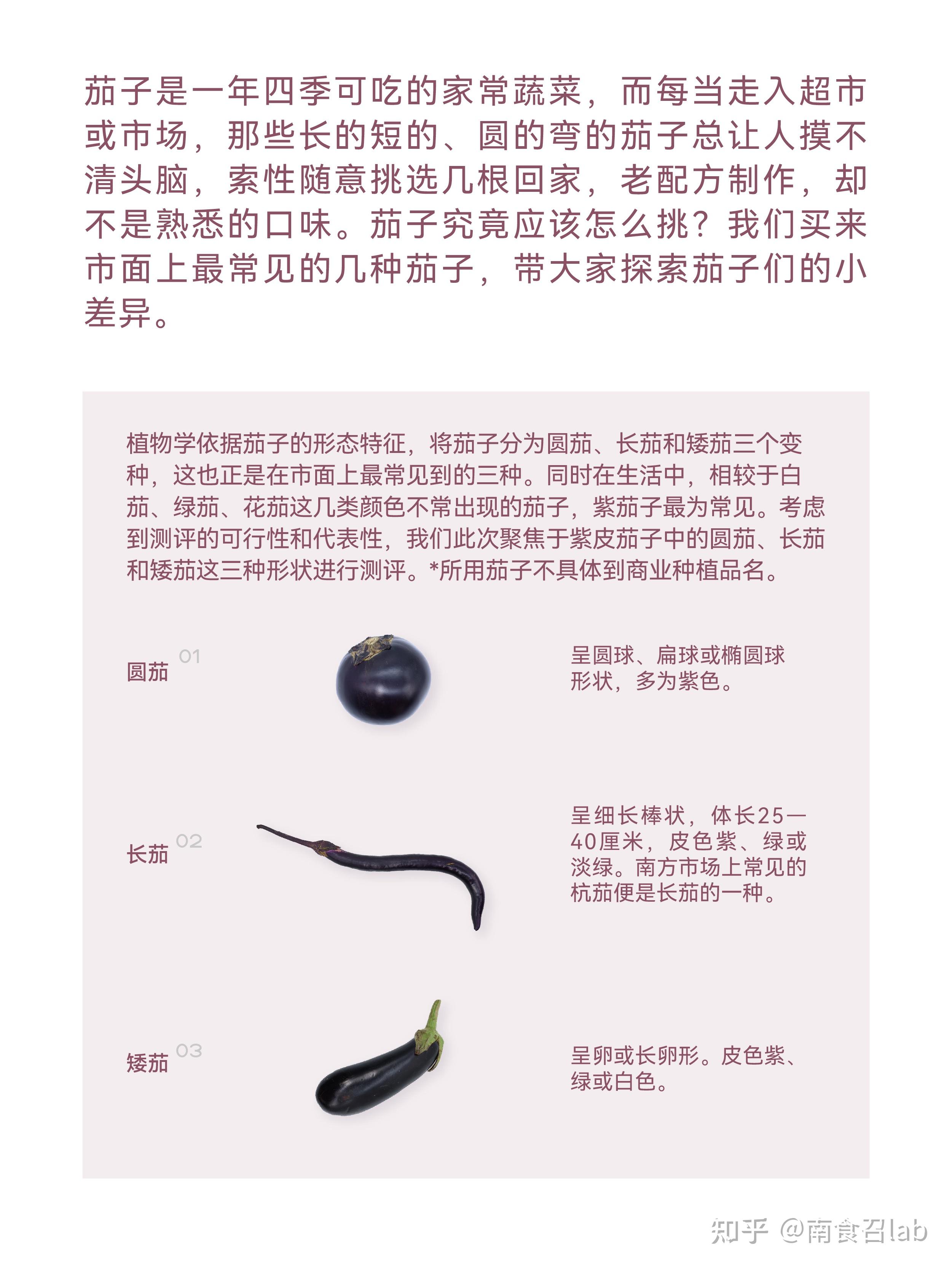 茄子的茄怎么组词图片