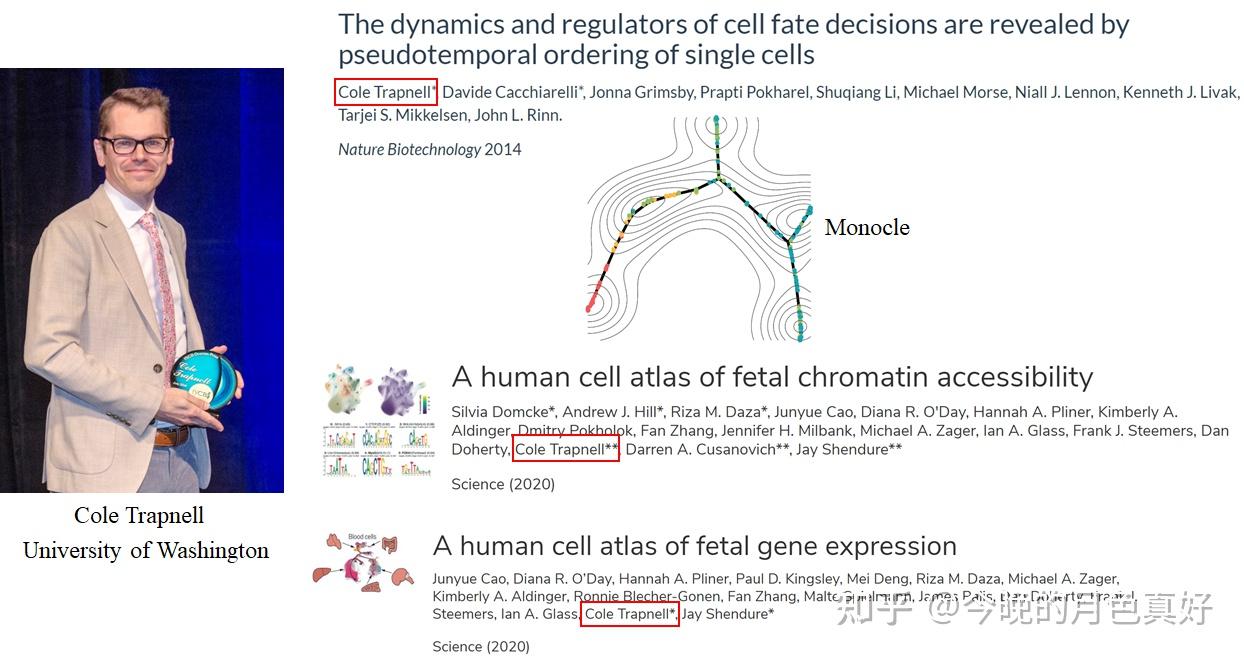 单细胞文章打卡97---Embryo-scale, single-cell spatial transcriptomics - 知乎