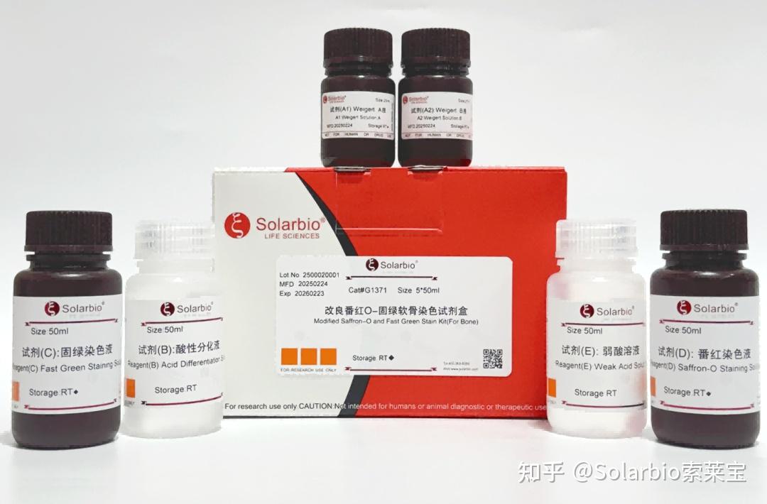 高分文献解读|Procr阳性软骨祖细胞通过感知机械刺激调控关节软骨的维持与再生 - 知乎