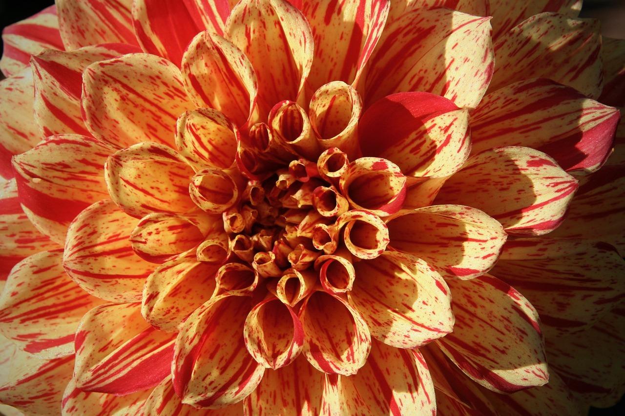 3. 肥水管理要点