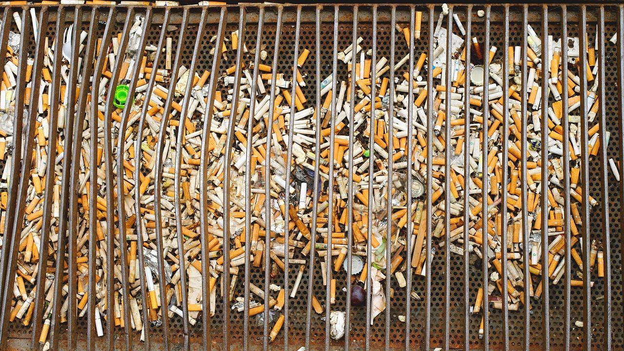 4. 胡杨木清洁方法