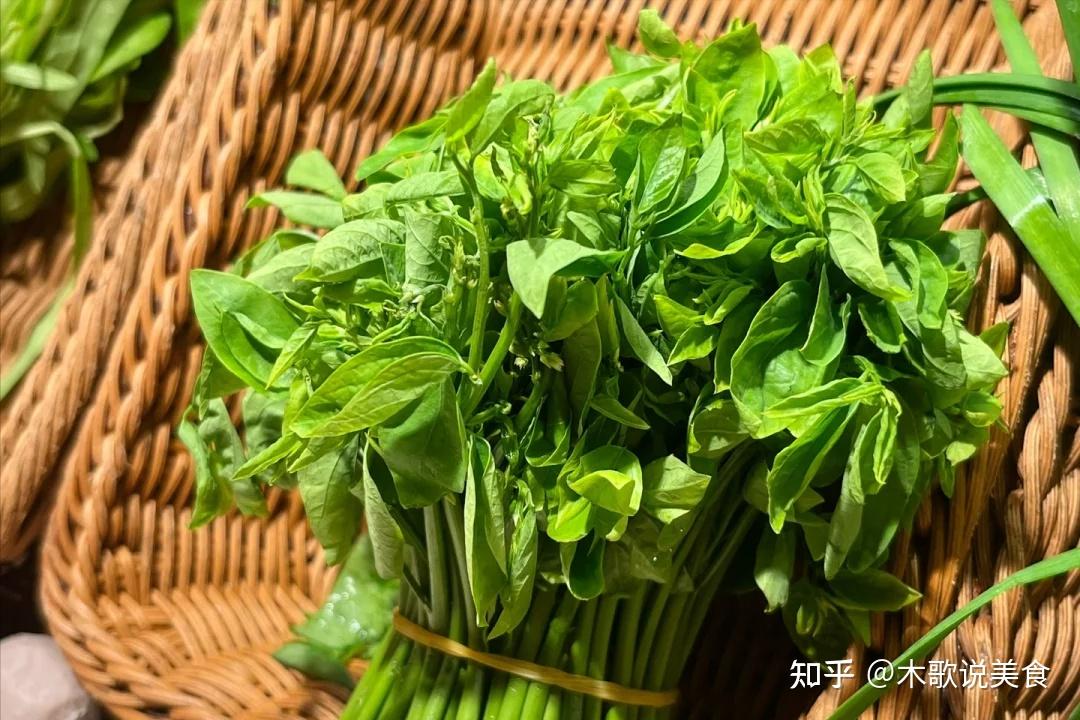 夏天,这菜要常吃,一清热解毒,二健胃消食,三护眼,鲜嫩别错过 - 知乎