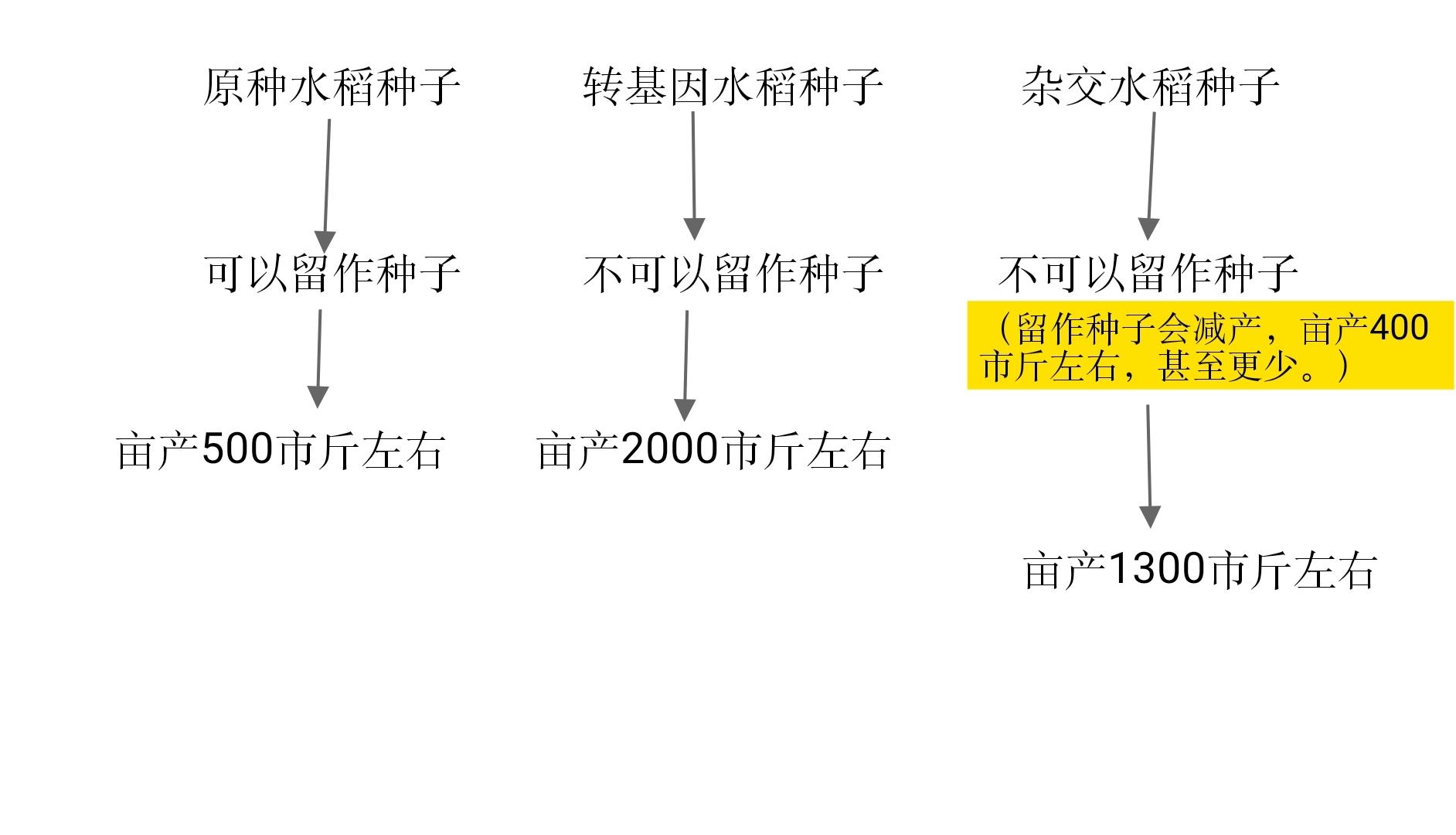 杂交水稻为什么不能留种
