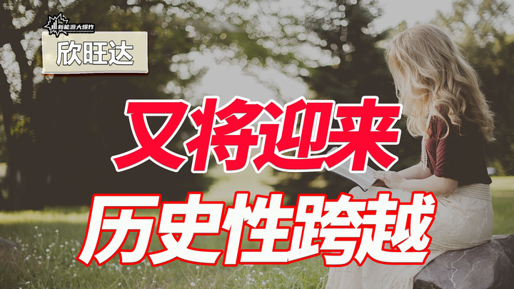 下一个宁德时代?欣旺达拟分拆动力电池业务,会是大机会吗? - 知乎