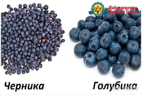 чем отличается централизованная биржа от децентрализованной