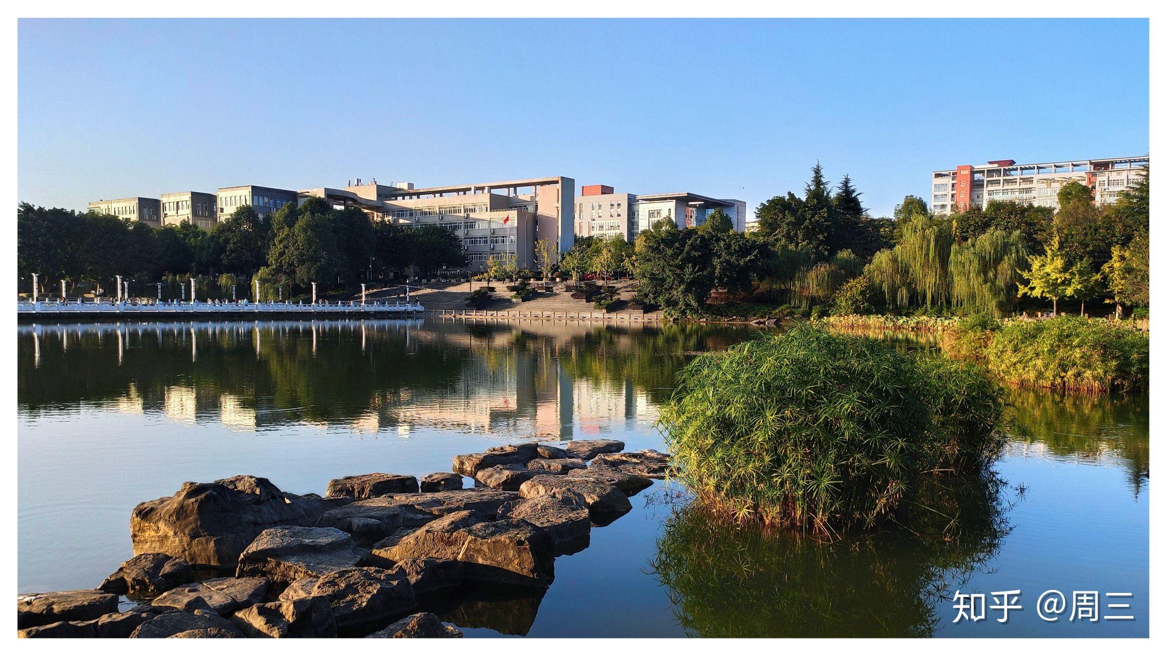 西南政法大学的校园风景如何