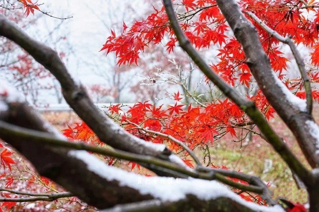 你要拍雪景,就不能只拍雪