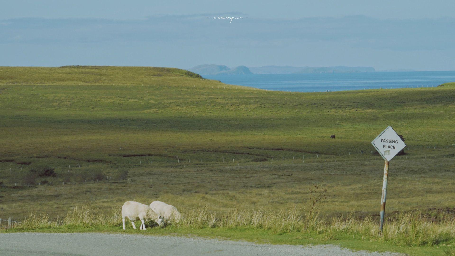 可以推荐下低调温柔又不俗气的笔记本壁纸嘛哈哈哈哈