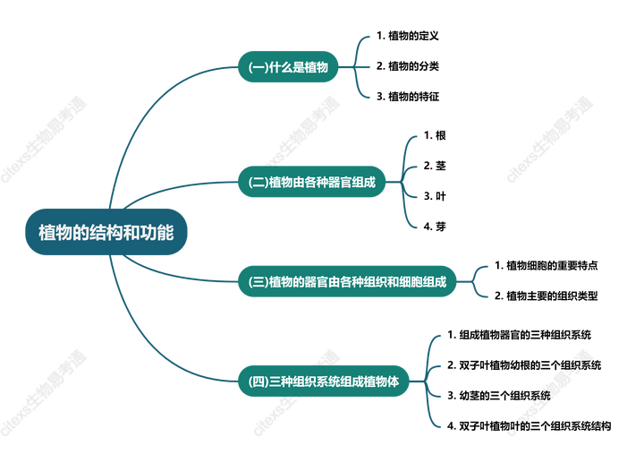 植物结构层次框架图图片