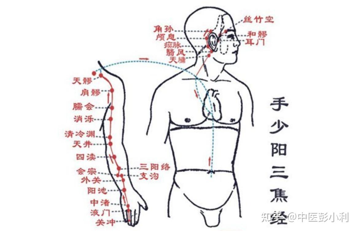三焦不通怎么办?中医教你一招,简单拍打,打通三焦 - 知乎