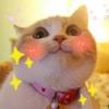 正太音，萝莉音，少女音，御姐音，老年音，妖孽音，女王音，你想要的配音都在这里！ - 知乎