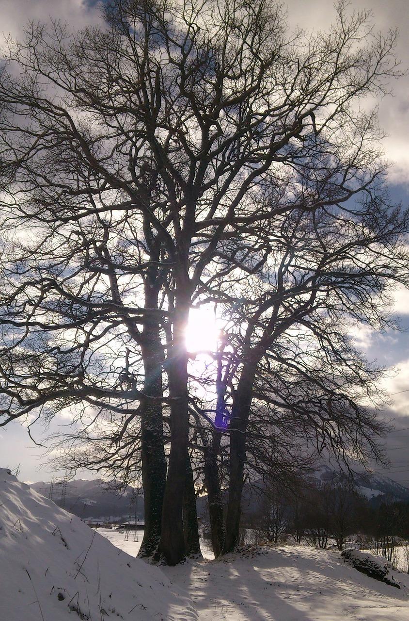 拥抱阳光的温暖时光