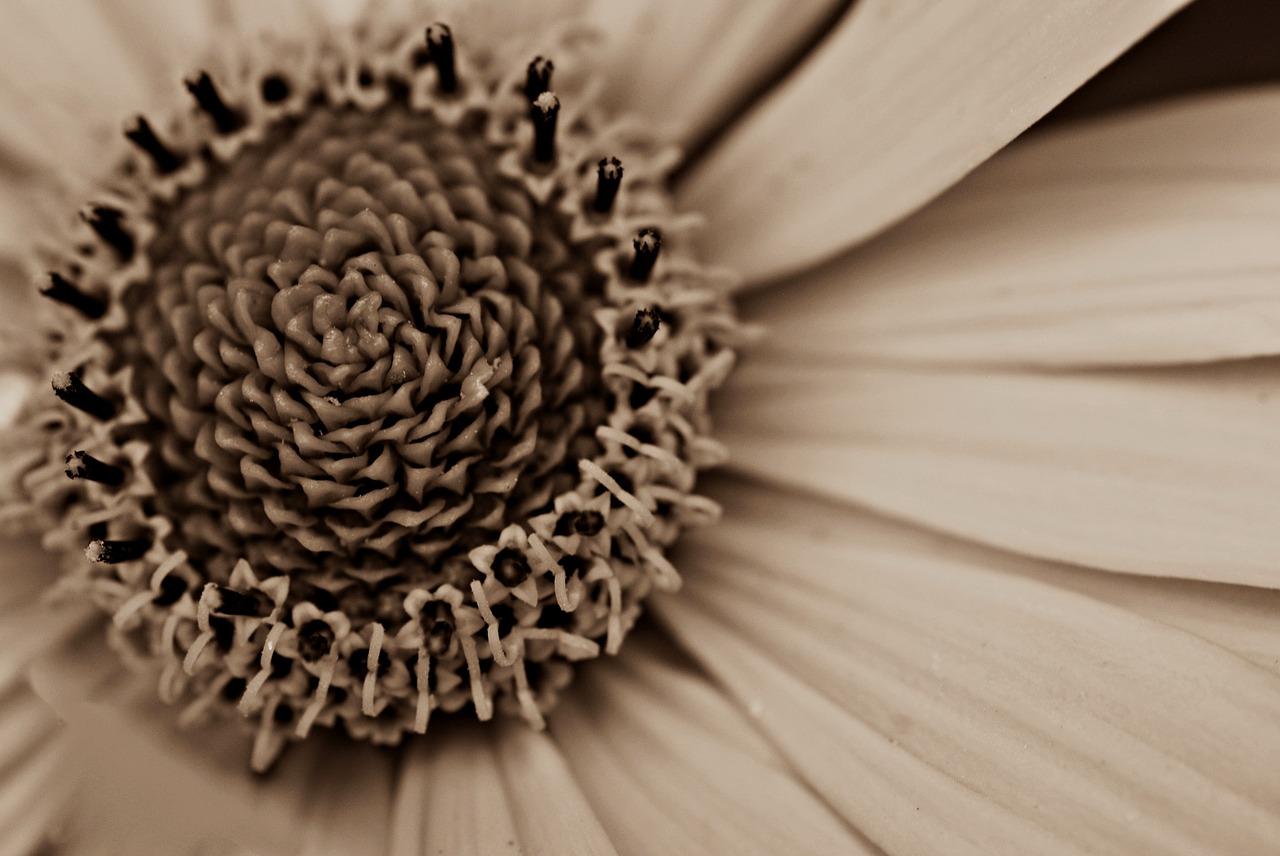 5. 交通便利性佳