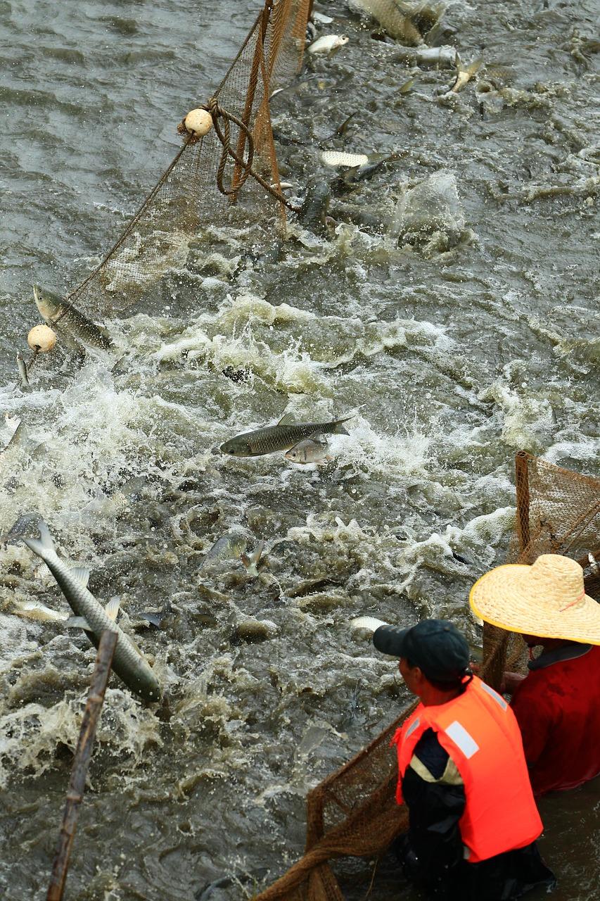 广园美景怎么样