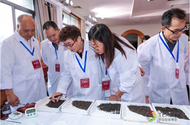 广西六堡茶茶王争霸赛:茶船古道冠绝一时,一举蝉联三个茶王奖 - 知乎