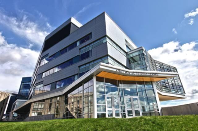 在布兰迪斯大学(brandeis university)就读是怎样一番体验?