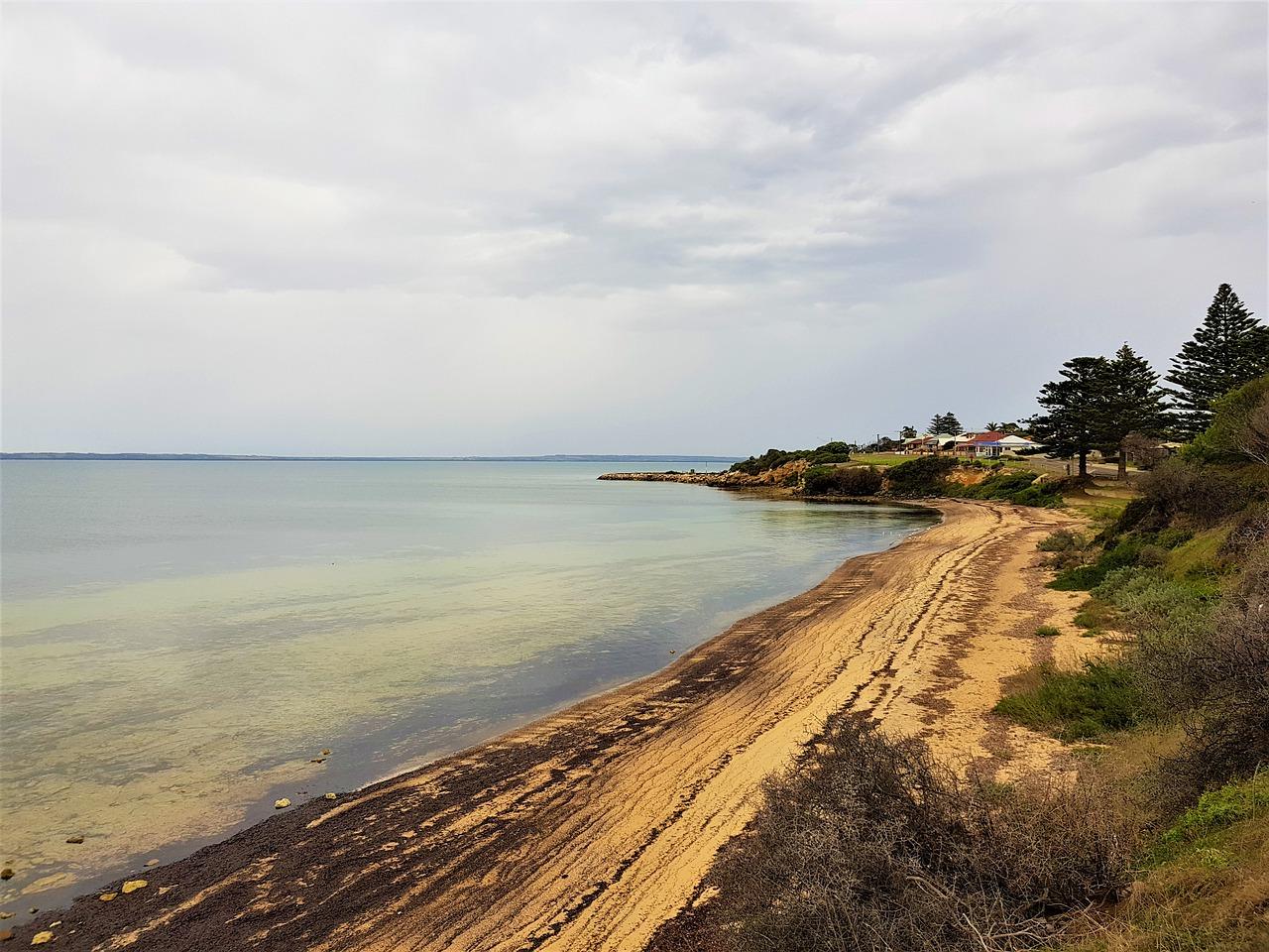 独栋泳池私密性