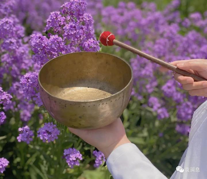 颂钵疗愈师培训课程,让你掌握技能的同时享受旅行!|精品课报名 - 知乎