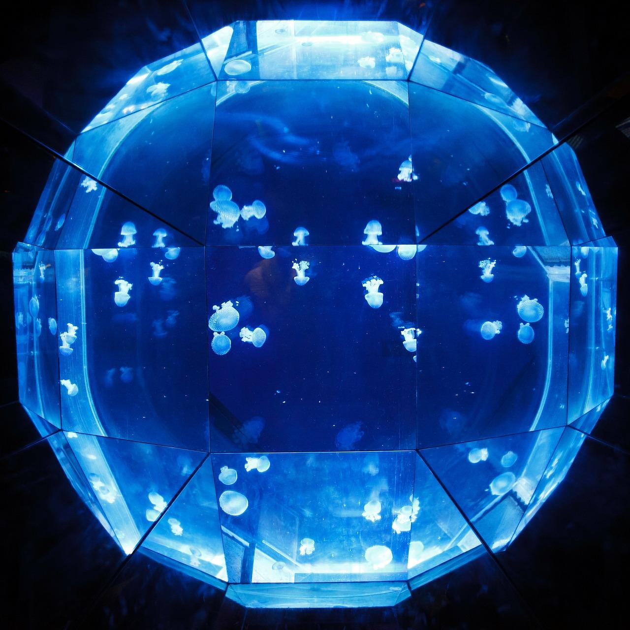 2. 灯罩去黄技巧