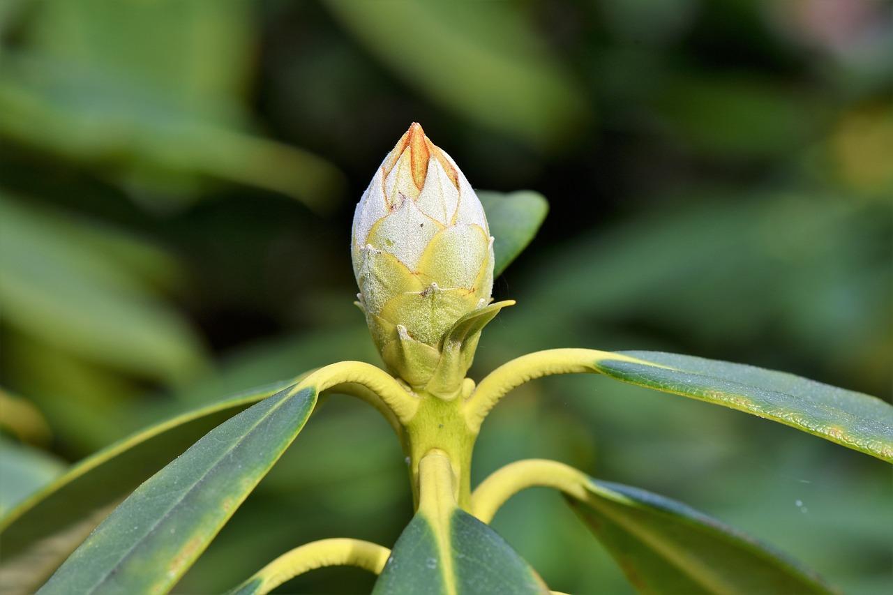 3. 饲养注意事项