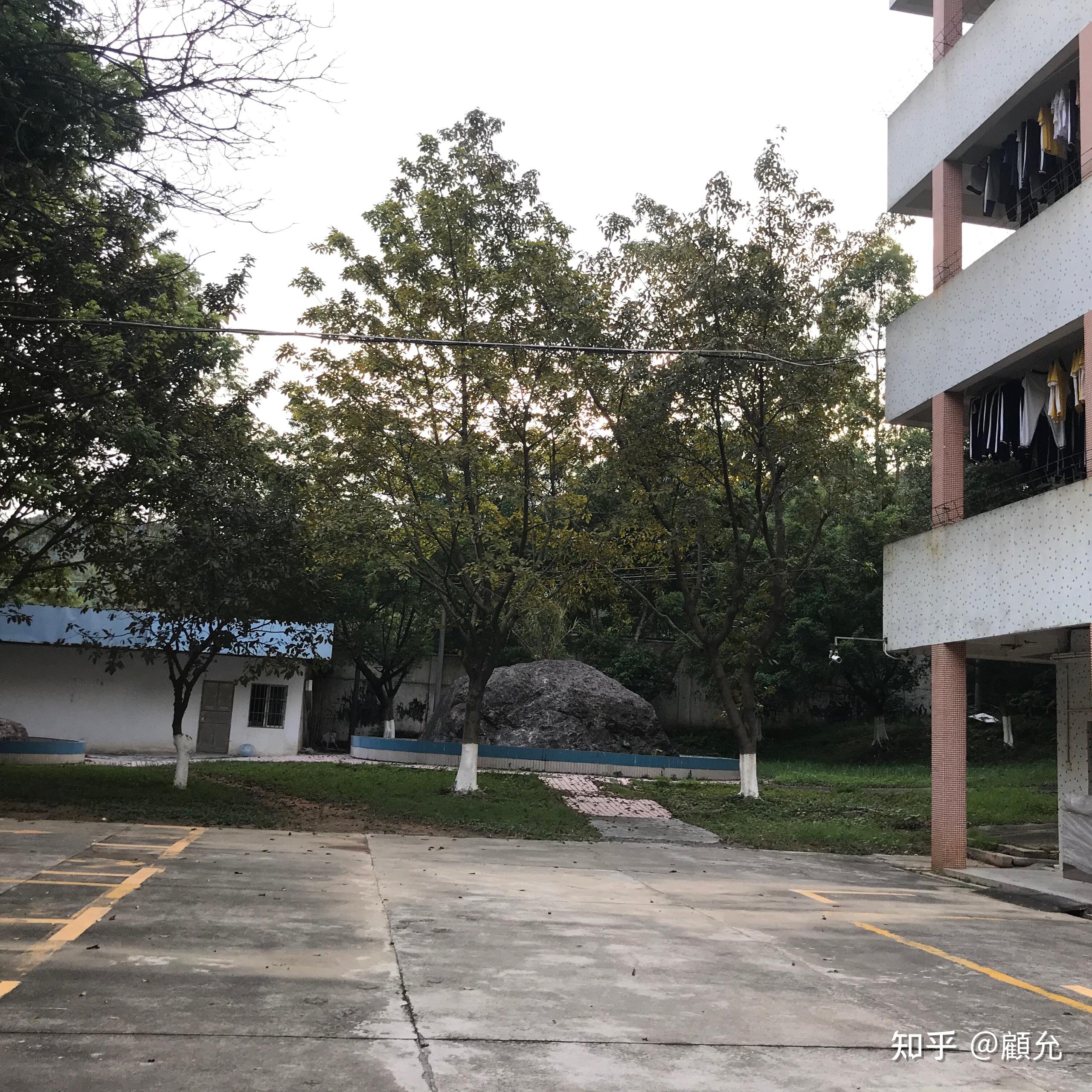 在肇庆市高要区第二中学高要二中就读是一种什么体验